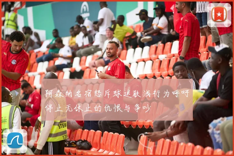 阿森纳名宿怒斥球迷肤浅行为呼吁停止无休止的仇恨与争吵