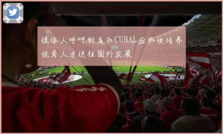 媒体人呼吁耐高和CUBAL应加快培养优秀人才送往国外发展