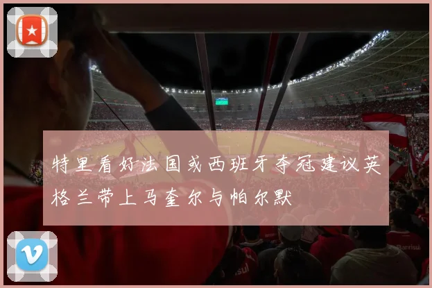 特里看好法国或西班牙夺冠建议英格兰带上马奎尔与帕尔默